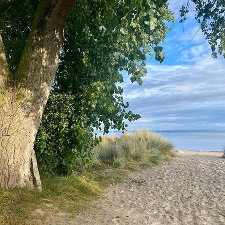 Feriendorf Suedstrand Haus 49 Pelzerhaken Exteriér fotografie
