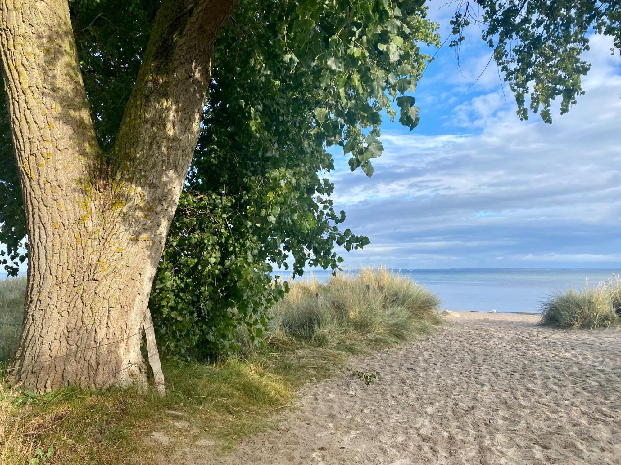 Feriendorf Suedstrand Haus 49 Pelzerhaken Exteriér fotografie